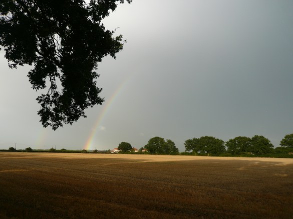 Rainbow over Fordham Heath